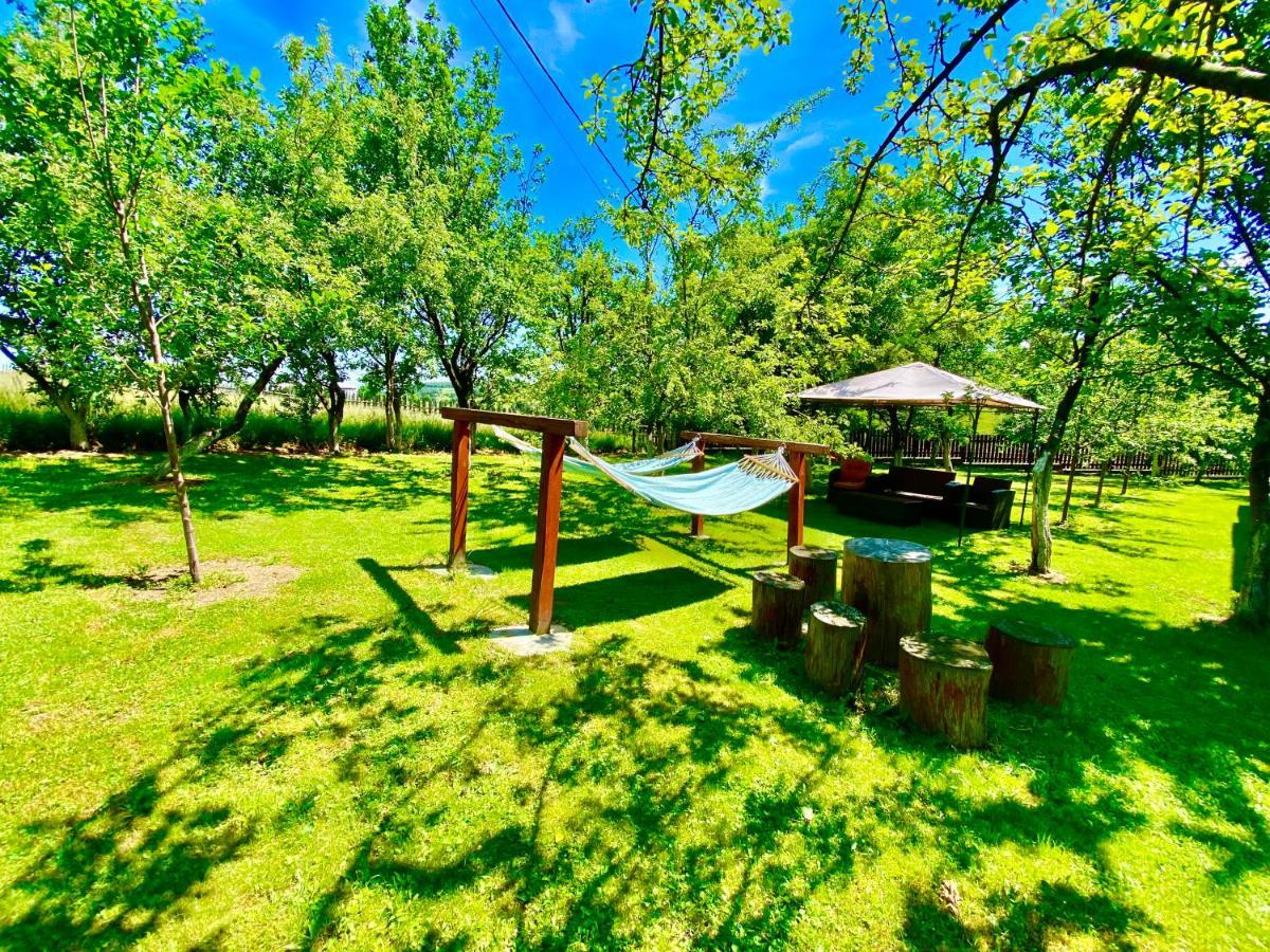 Pensiunea Casa Eden Мэришел Экстерьер фото